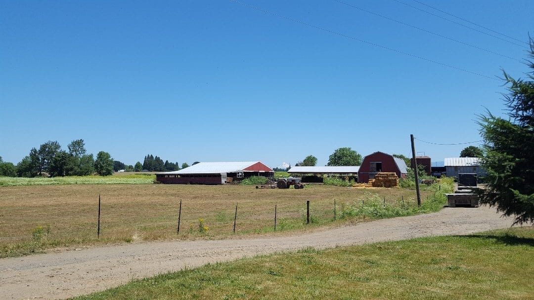 The Hess family barns, hay sheds, and tractor under a clear Oregon sky